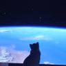 Luuna Zuum profil fotoğrafı