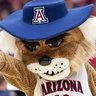 Cat in a Cowboy Hat's profile picture