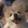 gabes tired 的头像