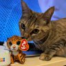 みずっちミミズ's profile picture