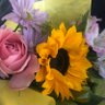 SunflowerLover's profile picture