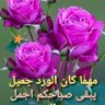 دكتور محمد جلال profil fotoğrafı