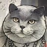 Profilbild von Mike Arystotle