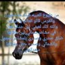 سعد العلي profil fotoğrafı