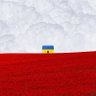 vlk's profile picture