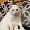 Profilbild von Bubba