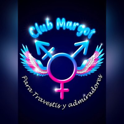 🏳️⚧️CLUB MARGOT🏳️⚧️'s profile picture