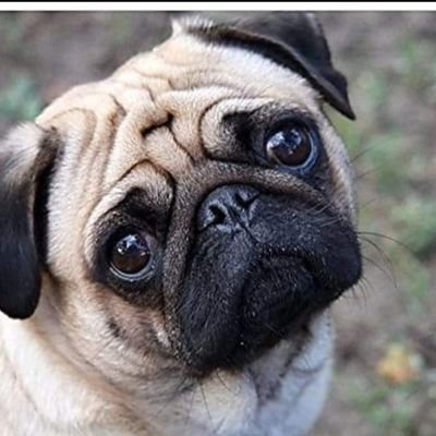 KannanK88026572's profile picture