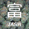 Jash the RichGod's profile picture