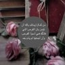 Profilbild von بشائر الرحمن