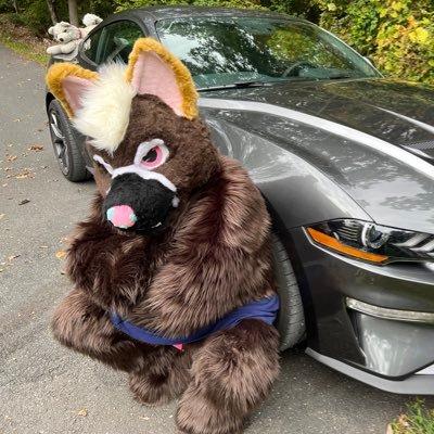 ikaruafterdark's profile picture