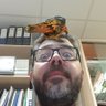 David's profile picture