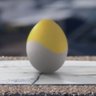 🥚egg🥚 profil fotoğrafı