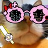 Фото профиля さくらむじな