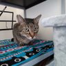 tora7's profile picture