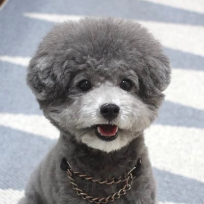 みすみともこ's profile picture
