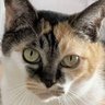 Profilbild von 愚駄猫