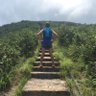 Eric Ho's profile picture