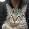 Ibaso's profile picture