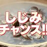 everyone 的头像