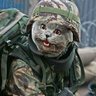 ApacheRotorCat's profile picture