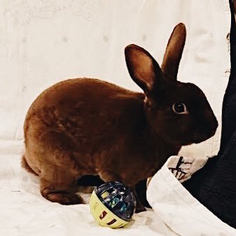 Dewbug_'s profile picture