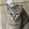 qip 的头像