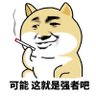 暴躁网友's profile picture