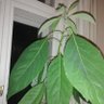 Фото профиля freelunch