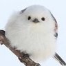 ゆきこ 的头像