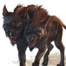 Orto's profile picture