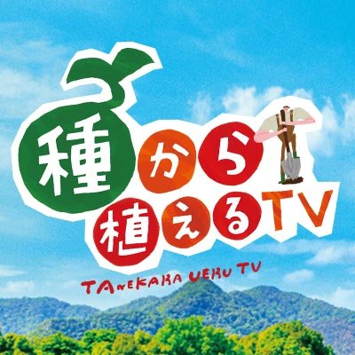 taneue70403's profile picture
