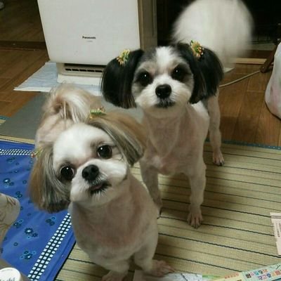 潤 翔's profile picture