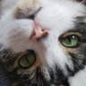 ãŠã profil fotoÄrafı