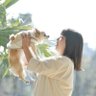 ＹＵＭＩ profil fotoğrafı