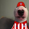 Juan's profile picture