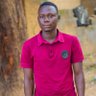Profilbild von BABANGIDA IBRAHIM