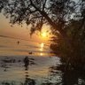 Đồng tháp quê tôi đó's profile picture