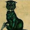kocurmosur profil fotoğrafı