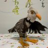 野溪晨 profil fotoğrafı