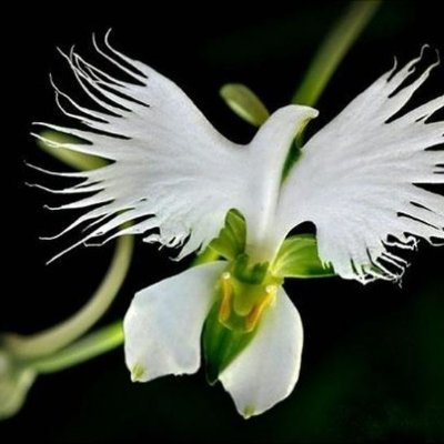 olga_1205's profile picture