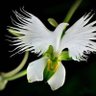 Фото профиля olga_1205