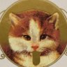 Profilbild von シーモンキー!