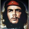 Profilbild von فاروق المالكي