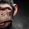 M. Danish profil fotoğrafı