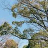 はなまる🌸 的头像