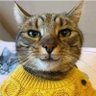 Profilbild von Eduardo N