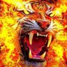 Profilbild von متهور نمور