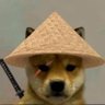 montein's profile picture