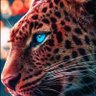 SIMBOTI profil fotoğrafı